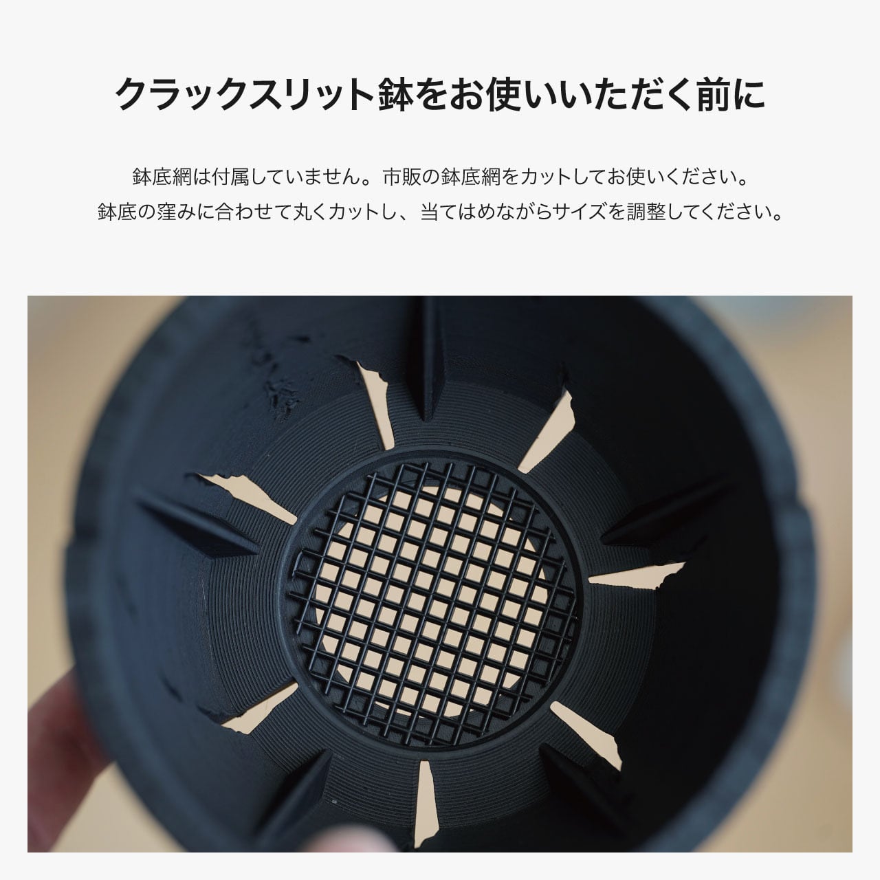 クラックスリット鉢 Tall 12cm | Green Mountain Store