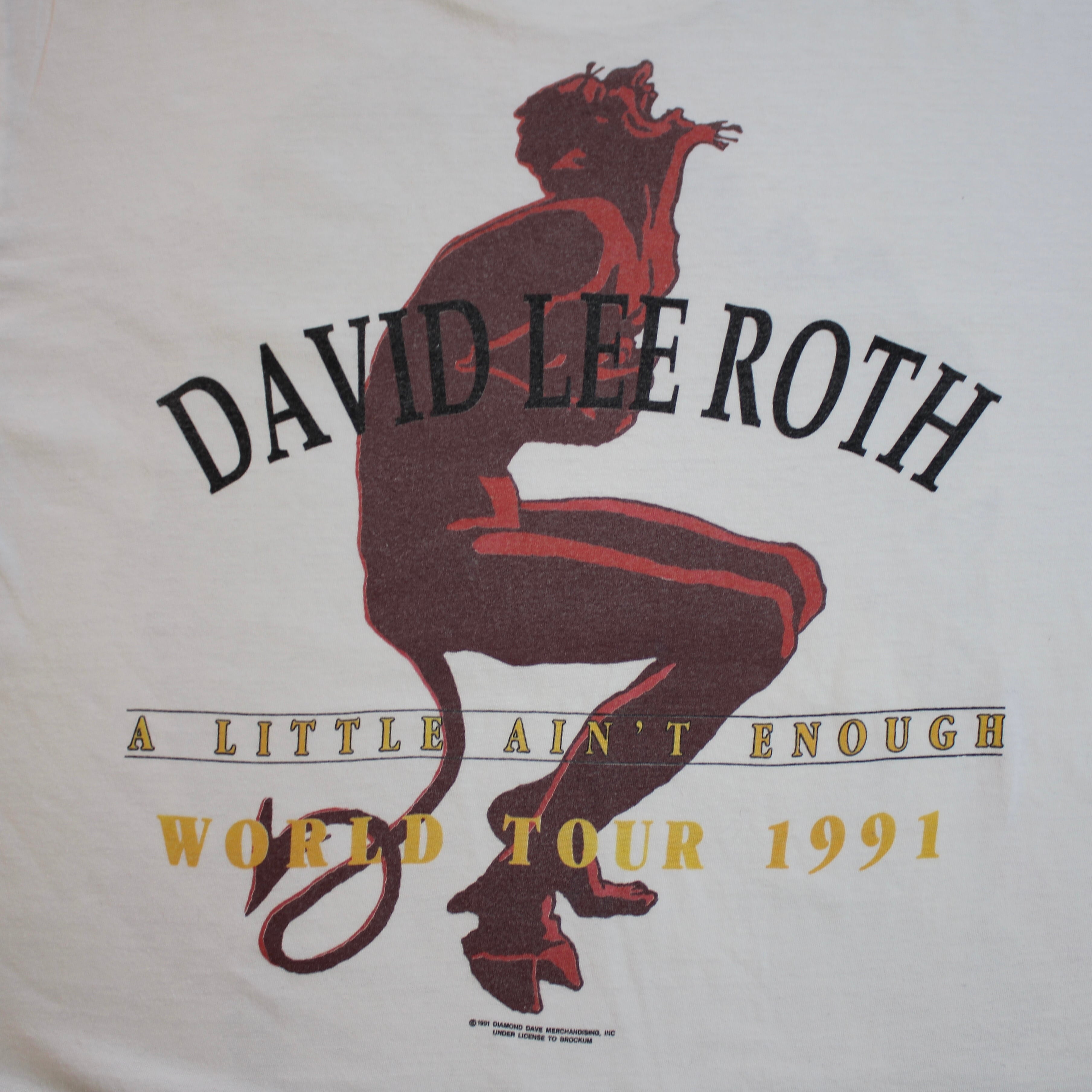 80年代 ビンテージ ロックT　DAVID LEE ROTH 80年代 ビンテージ ロックT DAVID LEE ROTH