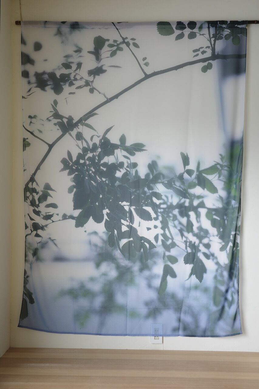 rūpa print curtain"All living things have meaning "30"