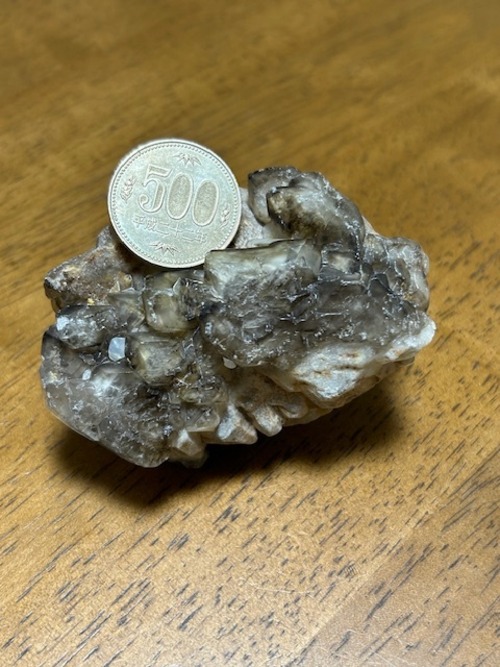 鰐魚水晶（アリゲーター、ジャカレー、エレスチャル)約269g