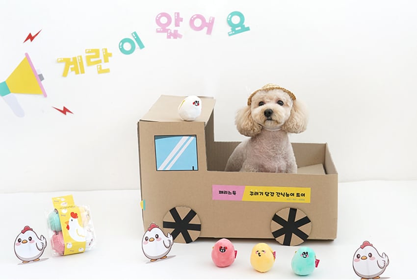 egg play toy / ノーズワーク ペット 犬 おもちゃ 音が鳴る 知育玩具 ノーズワーク おやつ隠し 可愛い わんちゃん ストレス解消 インスタ映え