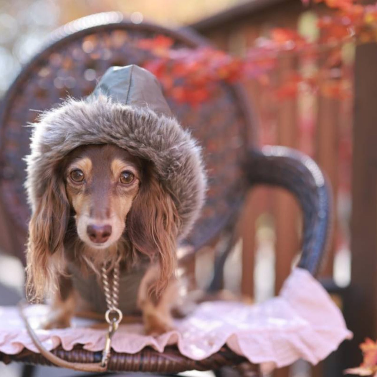 ダウンジャケット（ファー付きフード) 2022-2023 ※リバーシブル