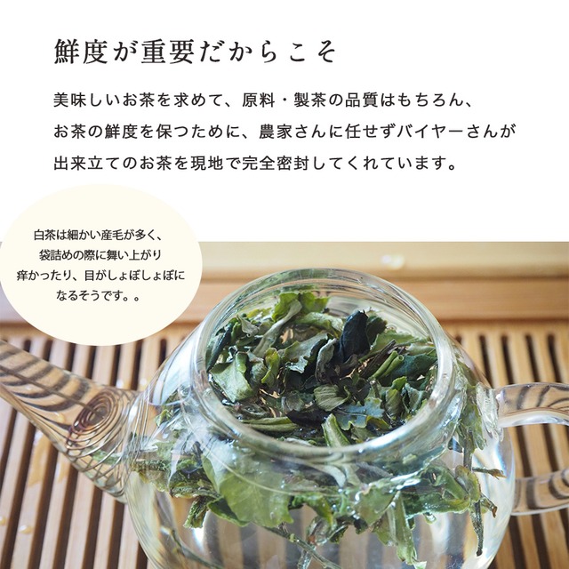 白茶 古樹白茶(こじゅはくちゃ) 15g