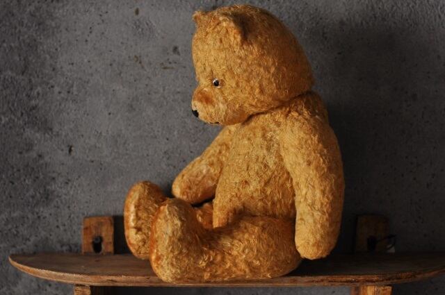 Teddy bear4
