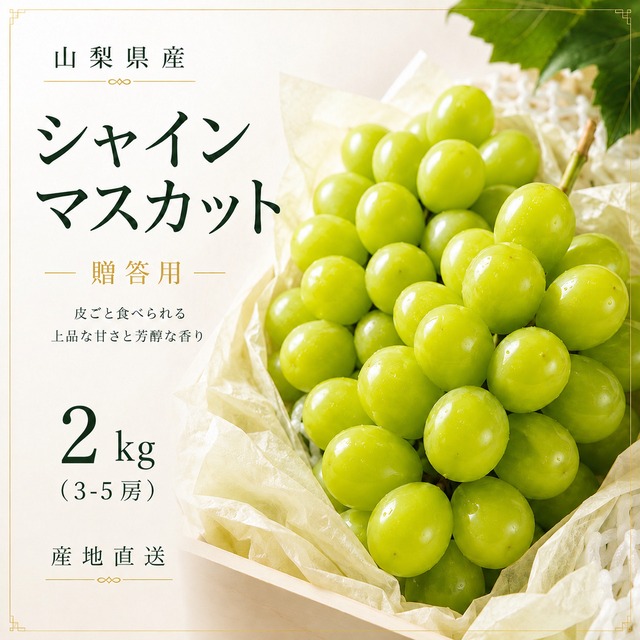 山梨県産 シャインマスカット 贈答用 3kg（5-6房）｜朝どれ産地直送