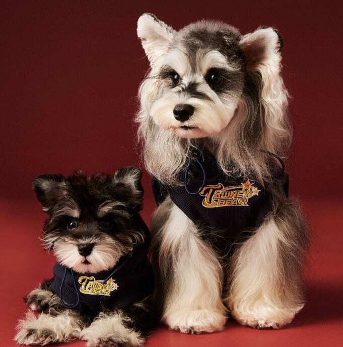 《予約》№1103100 ワンズチームパーカー