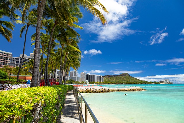 【メタルプリント300×400mm】ALOHA WAIKIKI