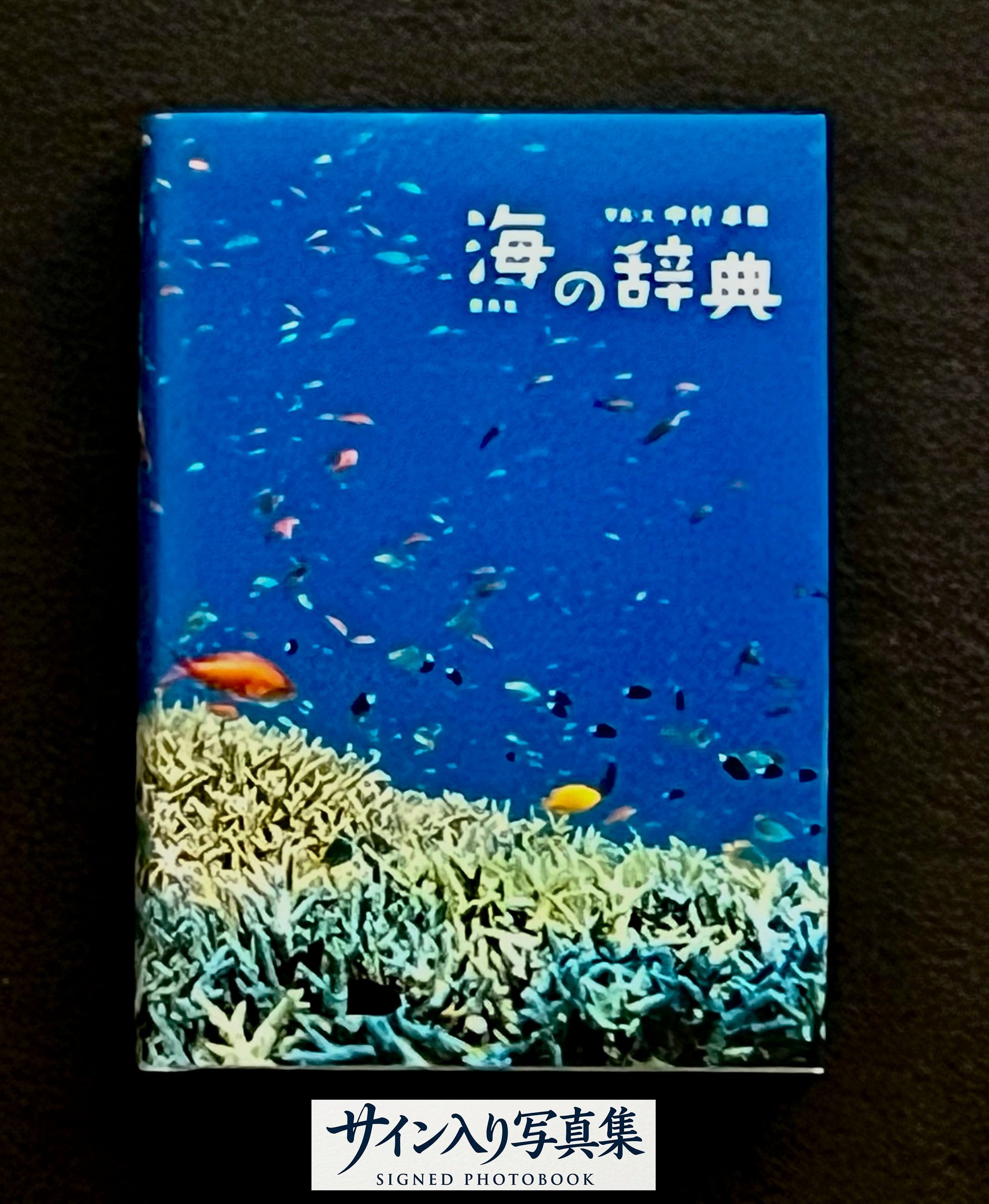 Daido Hysteric No.6 1994 森山大道 Daido Moriyama 写真集 | Pay ID