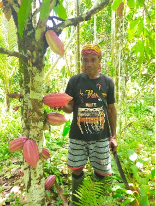 [コース03第1回] イントロダクション：わたしがパプアに魅了されたわけ