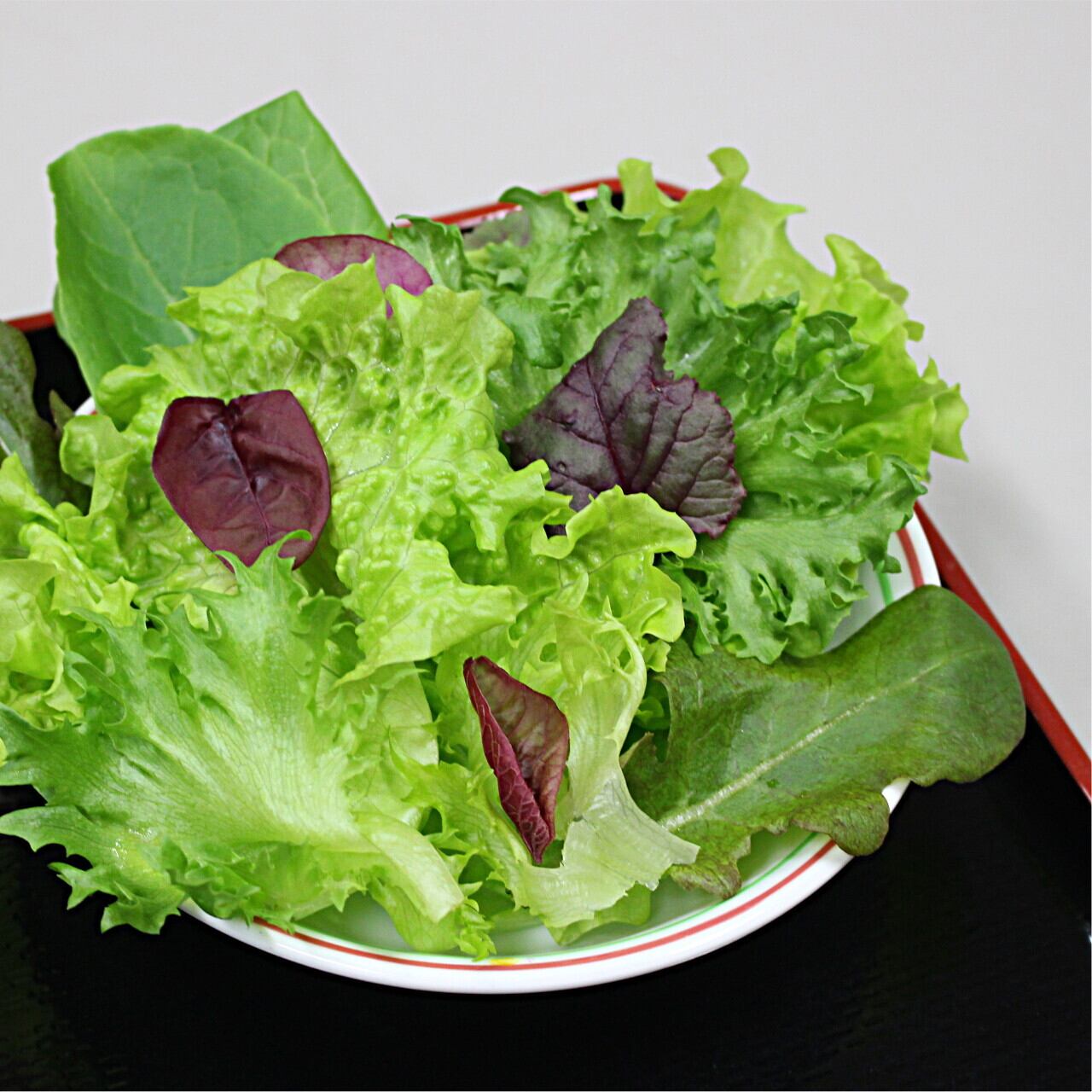 植物工場発！】水耕栽培レタス「レタスのがっこう（ミックス）」1袋