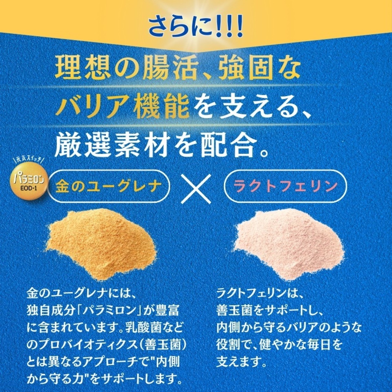 オールスターズ 乳酸菌