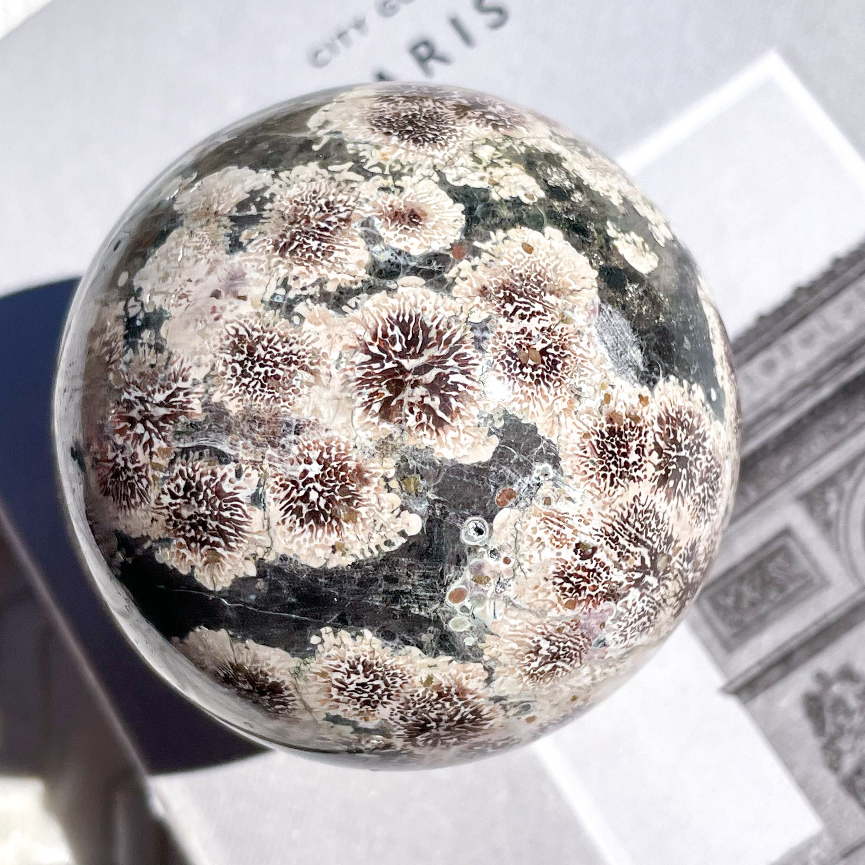 Green Flower Jasper Sphere 11 ✧ グリーンフラワージャスパー (花の惑星)