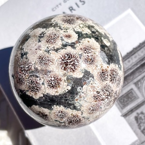 Green Flower Jasper Sphere 11 ✧ グリーンフラワージャスパー (花の惑星)