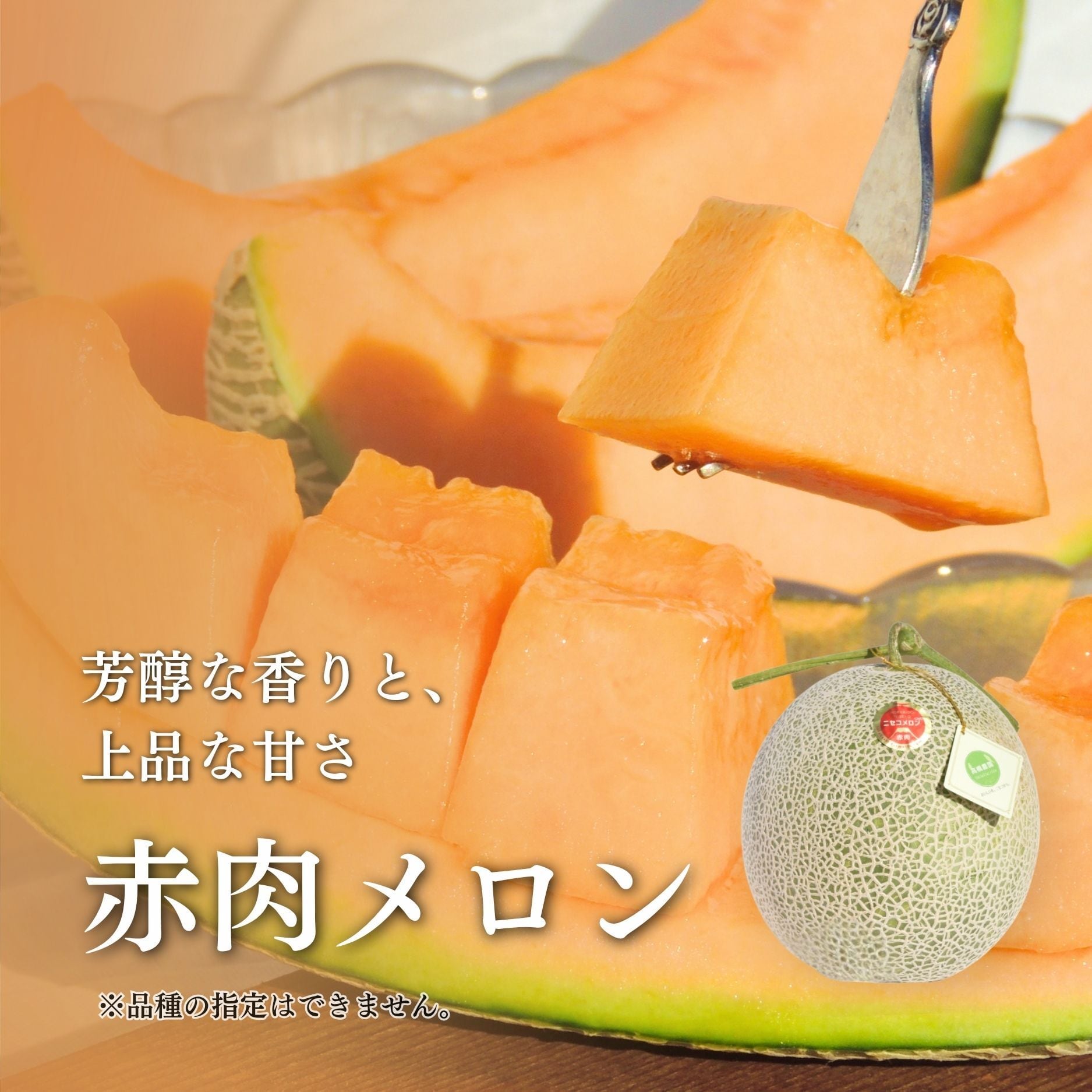 メロン4～5玉＜色指定可＞＜7月下旬～9月通常発送＞ | 北海道ニセコ町