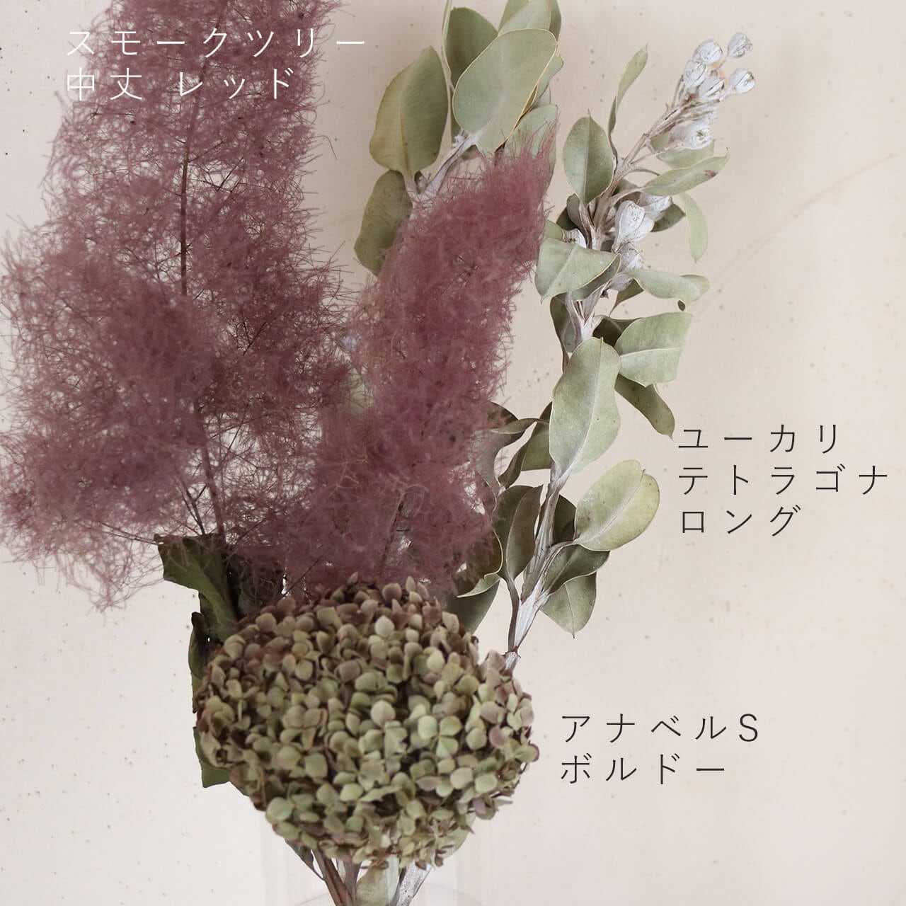丈約65～80cm 】ユーカリ テトラゴナナッツ L ロング / ドライフラワー 