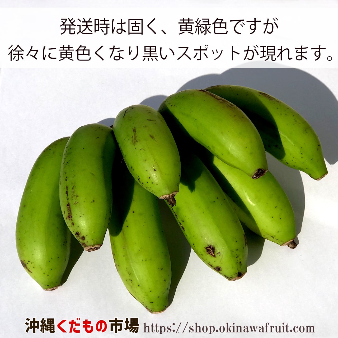 沖縄県産もっちり島バナナ（約1kg）【収穫時に発送】 | 沖縄くだもの市場