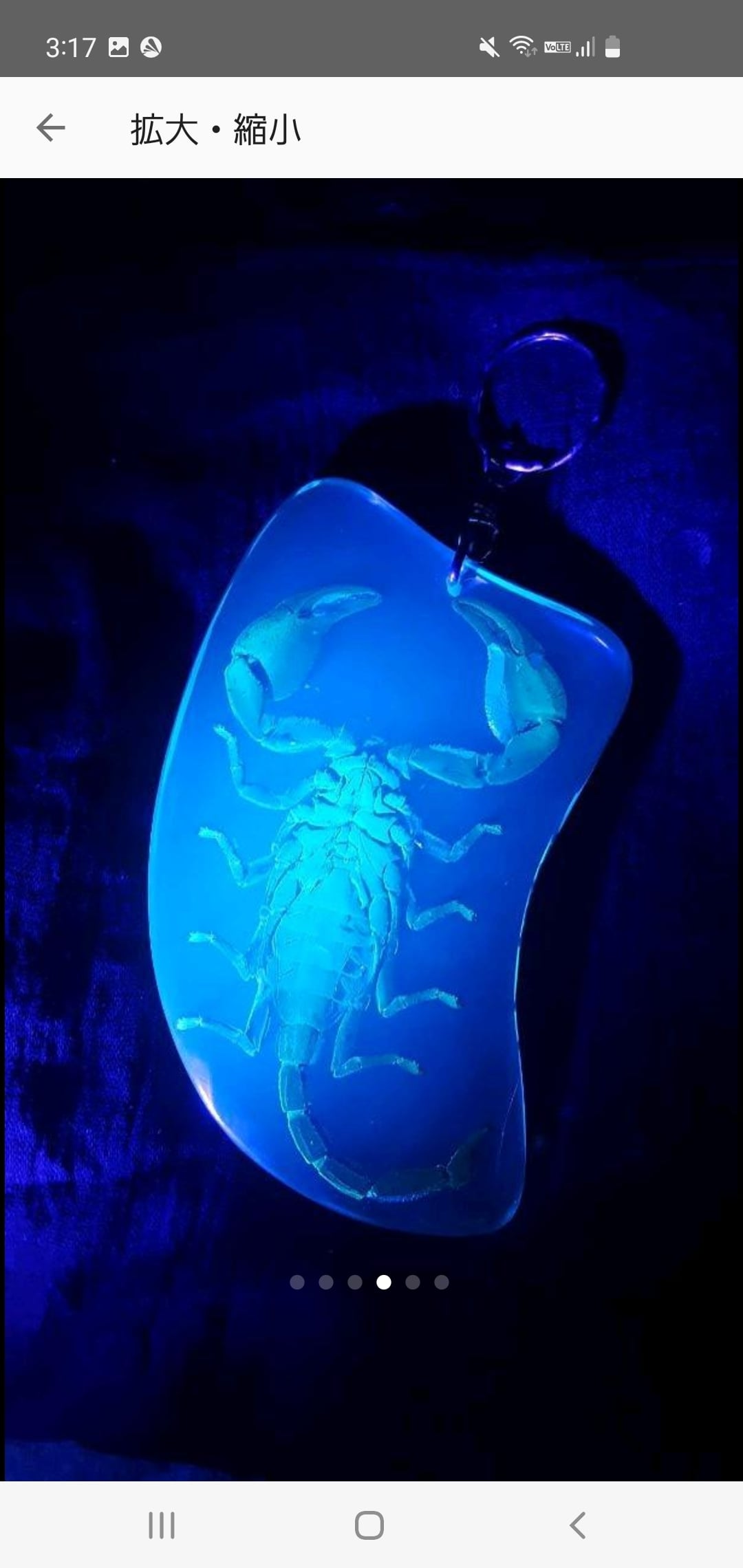 サソリのキーホルダー」＋「ブラックライト」セット 昆虫標本 | いんど