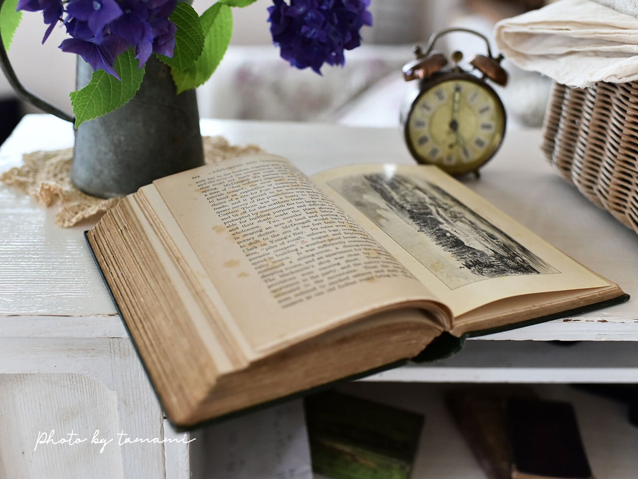 古い色合いが素敵な緑の本 *イギリスアンティーク