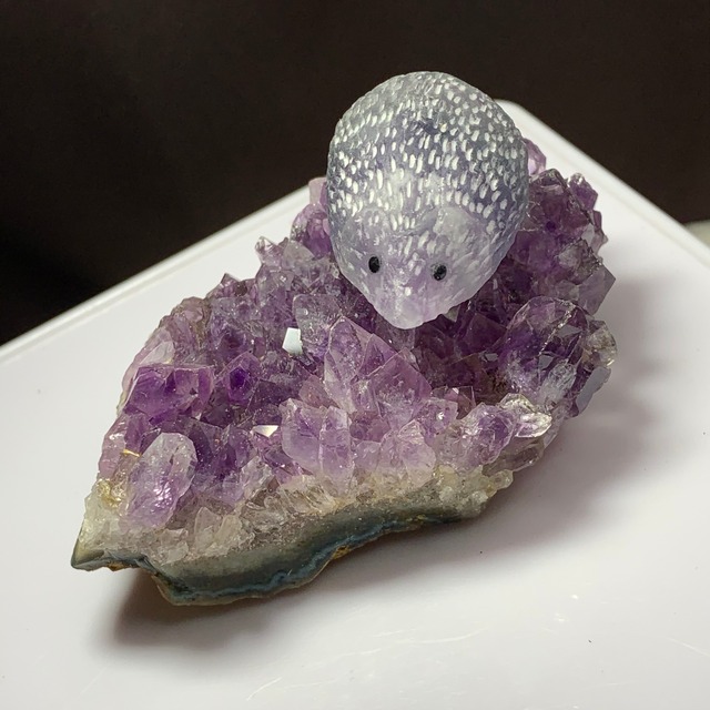 8.ウルグアイ産アメジストクラスターに住み着いているフローライトハリネズミさん