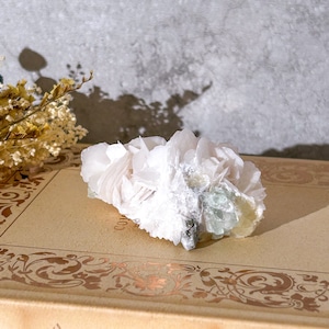 ホワイトローズカルサイト パイライト・フローライト 共生