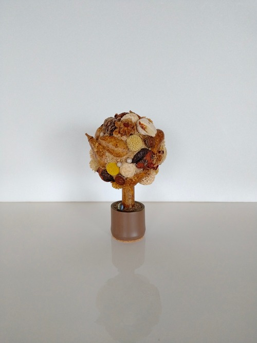 Rond “Fruit sec”