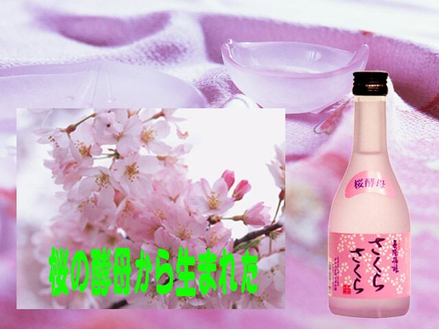 新銘柄 桜酵母さくらさくら 300ml 5本入り 長陽福娘 | netcarugo