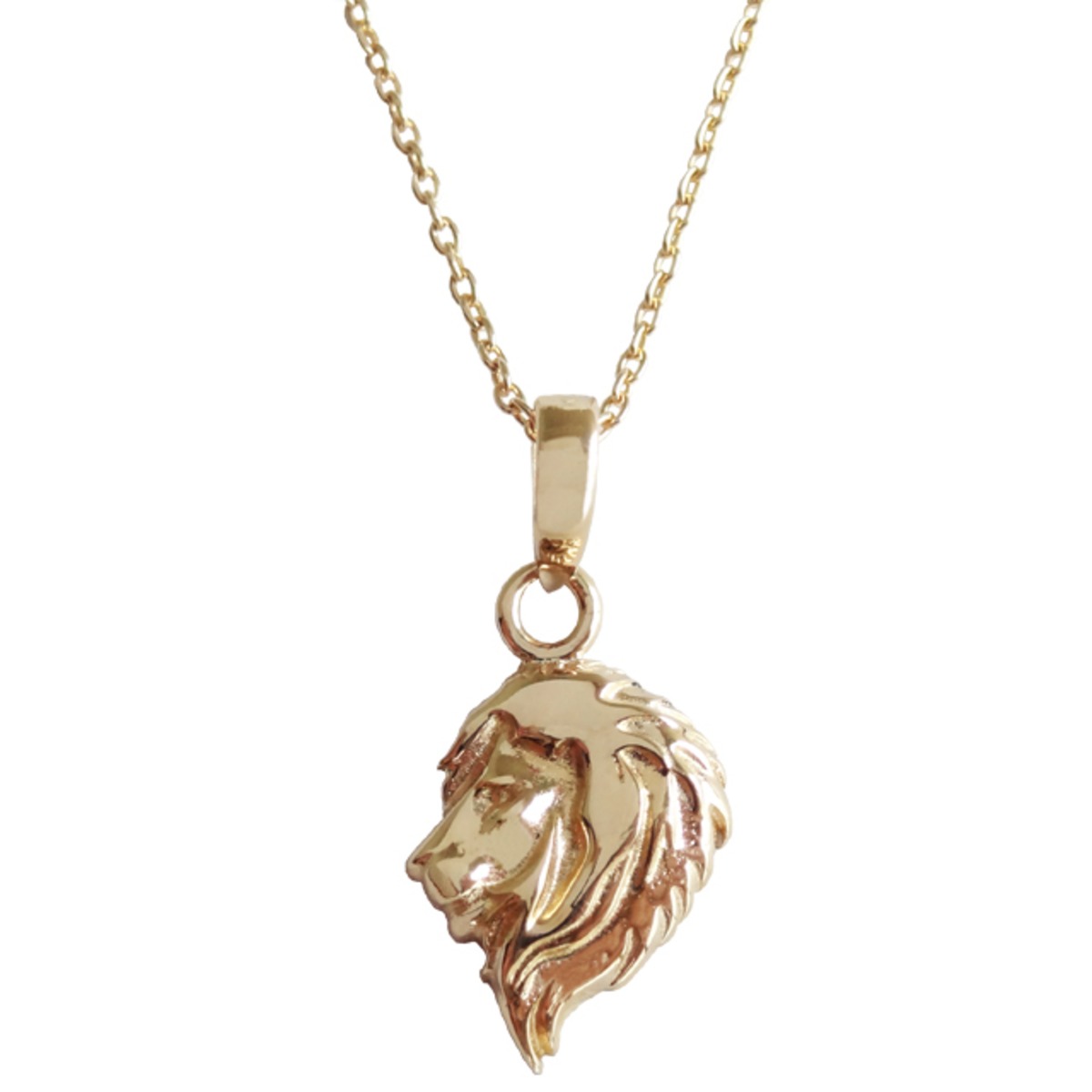 Gold C.H.Lion ＜100個限定 K18ペンダント＞ | Ken 10th Anniversary 