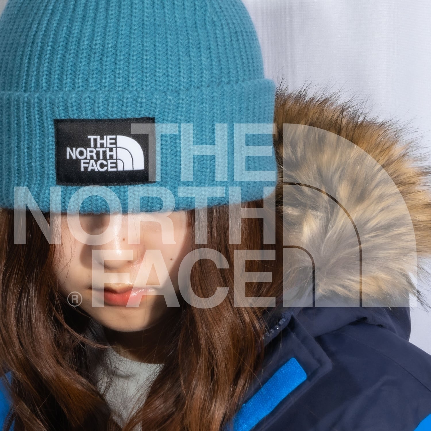 ノースフェイス 新品 ニットキャップ / Salty Dog Beanie / 男女兼用