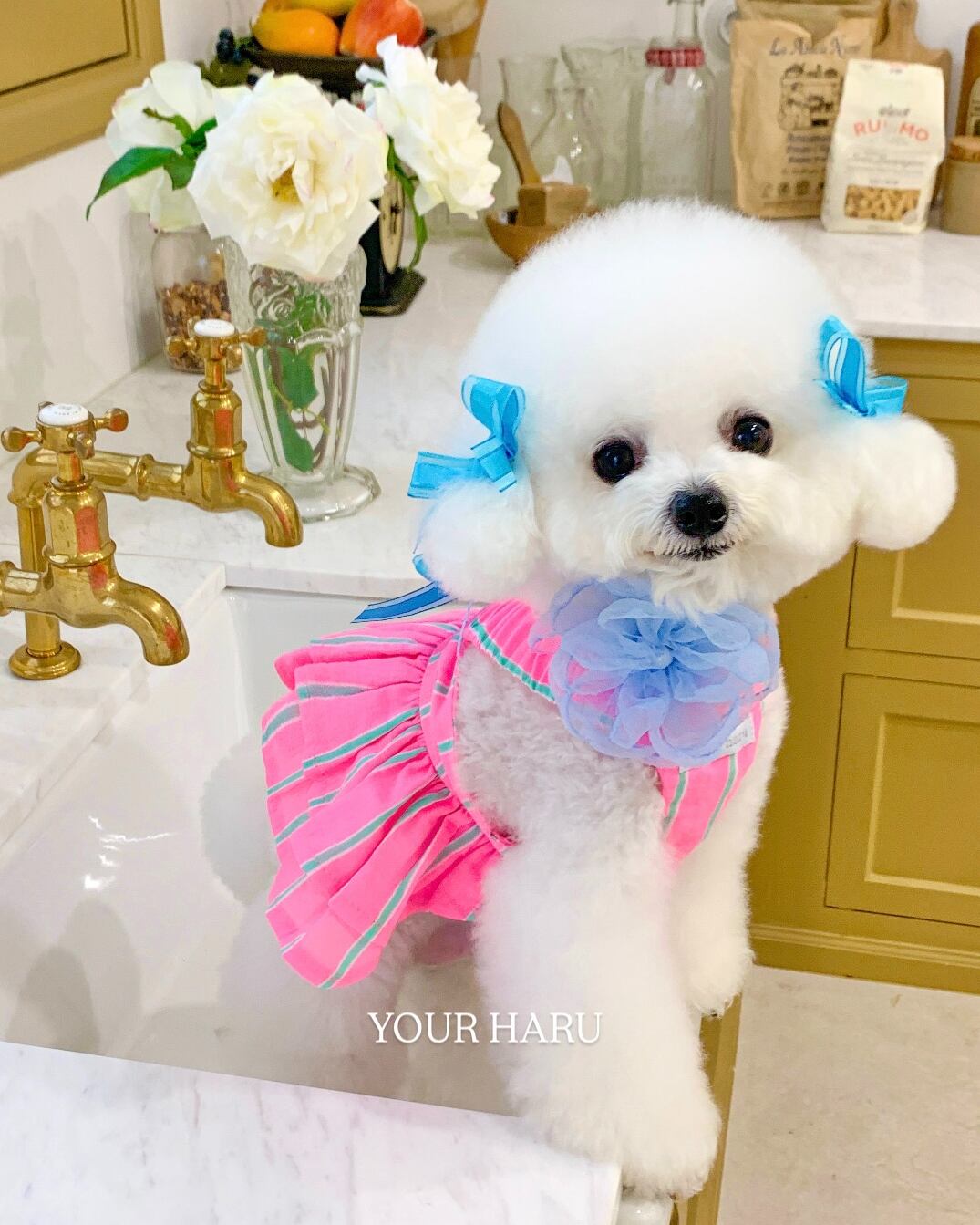 予約【yourharu】 Sweet Candy OPS pink