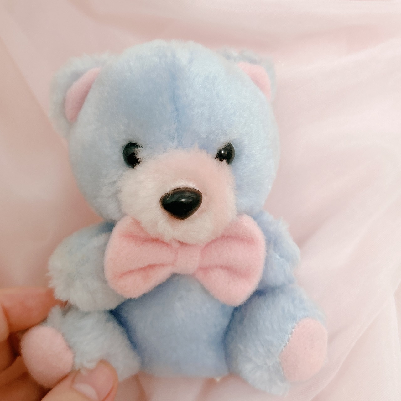 Pastel kumaの画像02