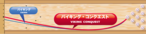 バイキング・コンクエスト(900GLOBAL)