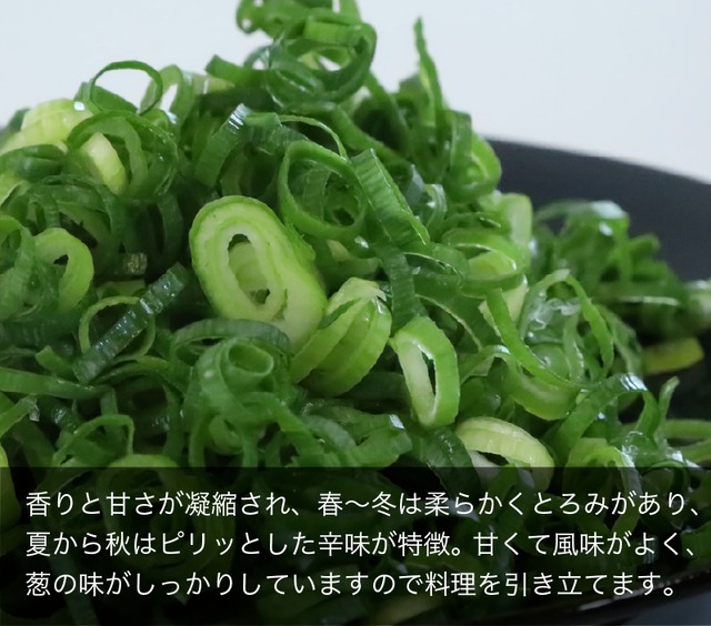 業務用カットネギ・きざみネギ4キロ（500ｇ✕8袋）国産【80サイズ】