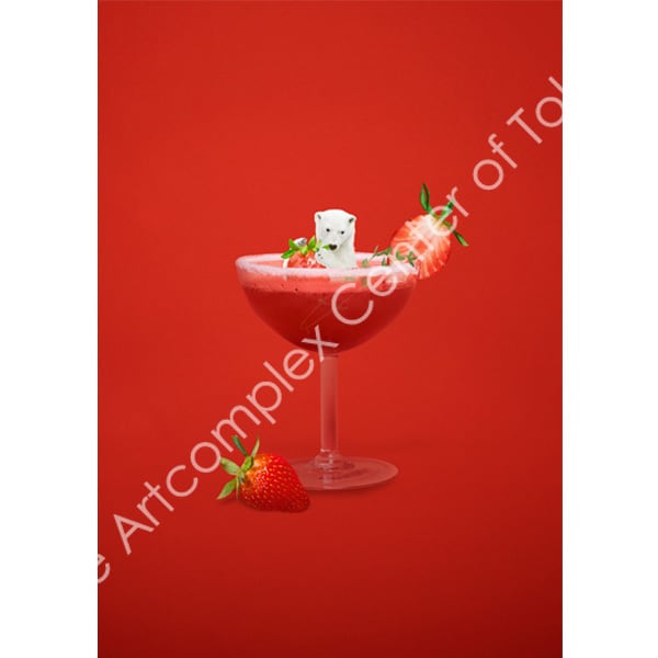 飯田かずな「北極熊のアペリティフ」