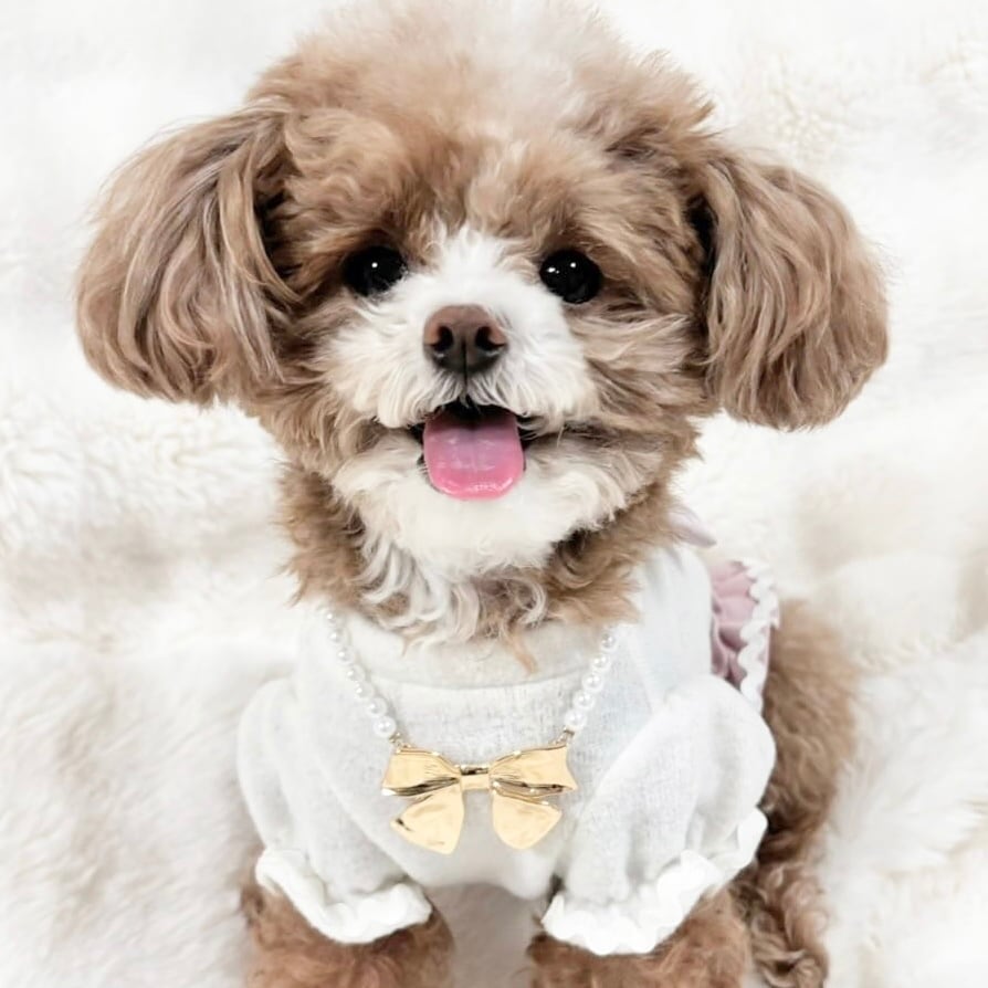 大きなゴールドリボンネックレス