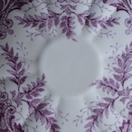 英国 Wileman Foley シダが彩るFernト リオ 1890年代 thumbnail 14