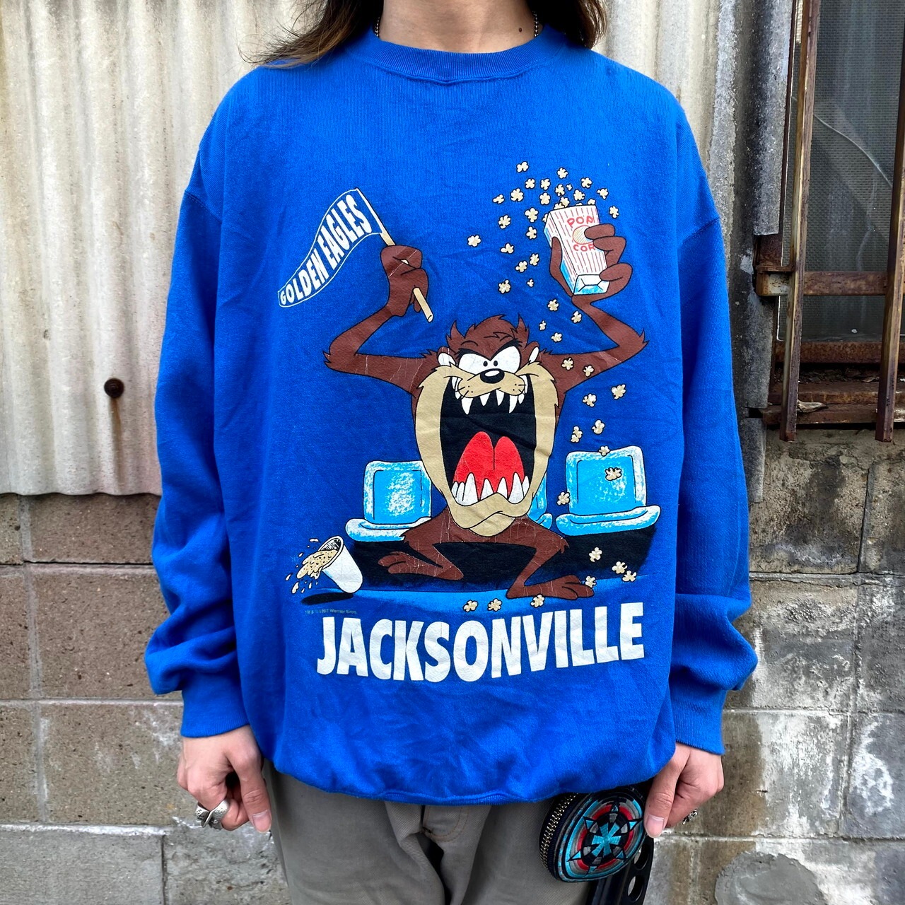 90年代 タズマニアン デビル キャラプリントスウェット メンズXL  