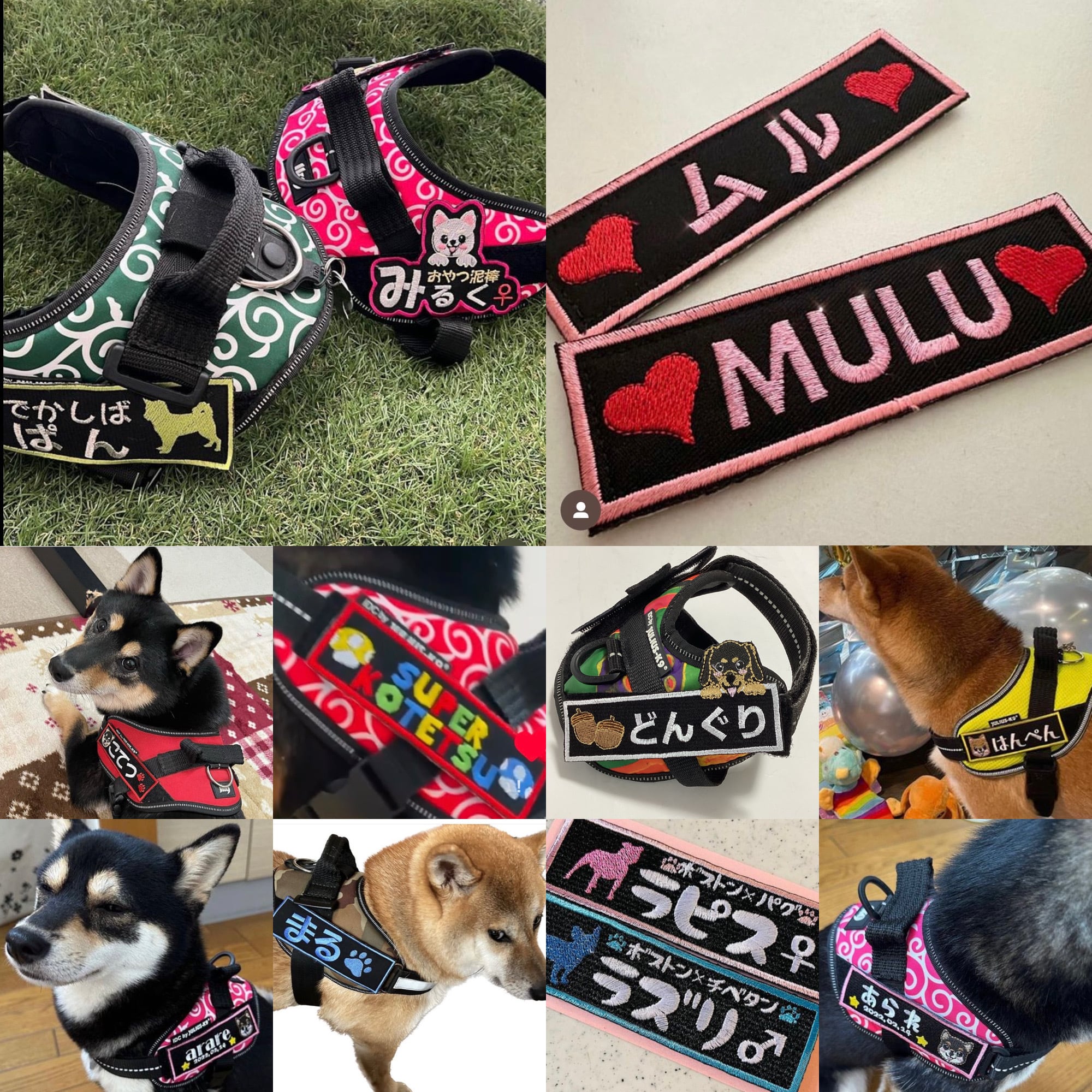 NO 骨形 ユリウスK9 Julius-K9ネームタグ カスタムオーダー うちの子