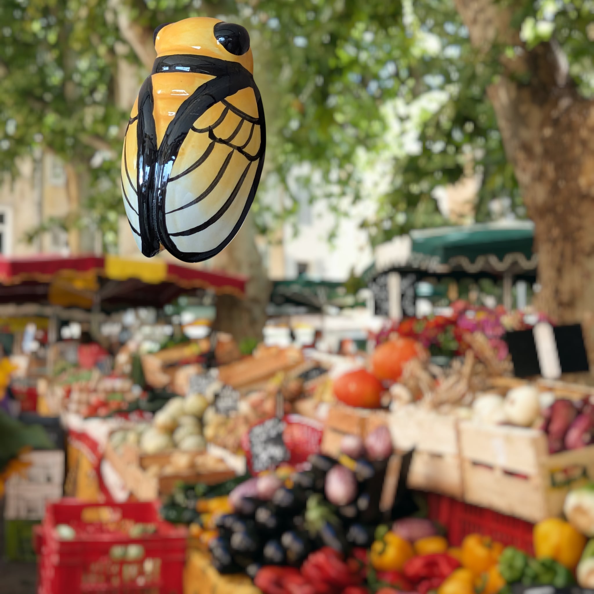 プロヴァンス雑貨 南仏のお土産 セミのオブジェ / プチシガル・ブラン