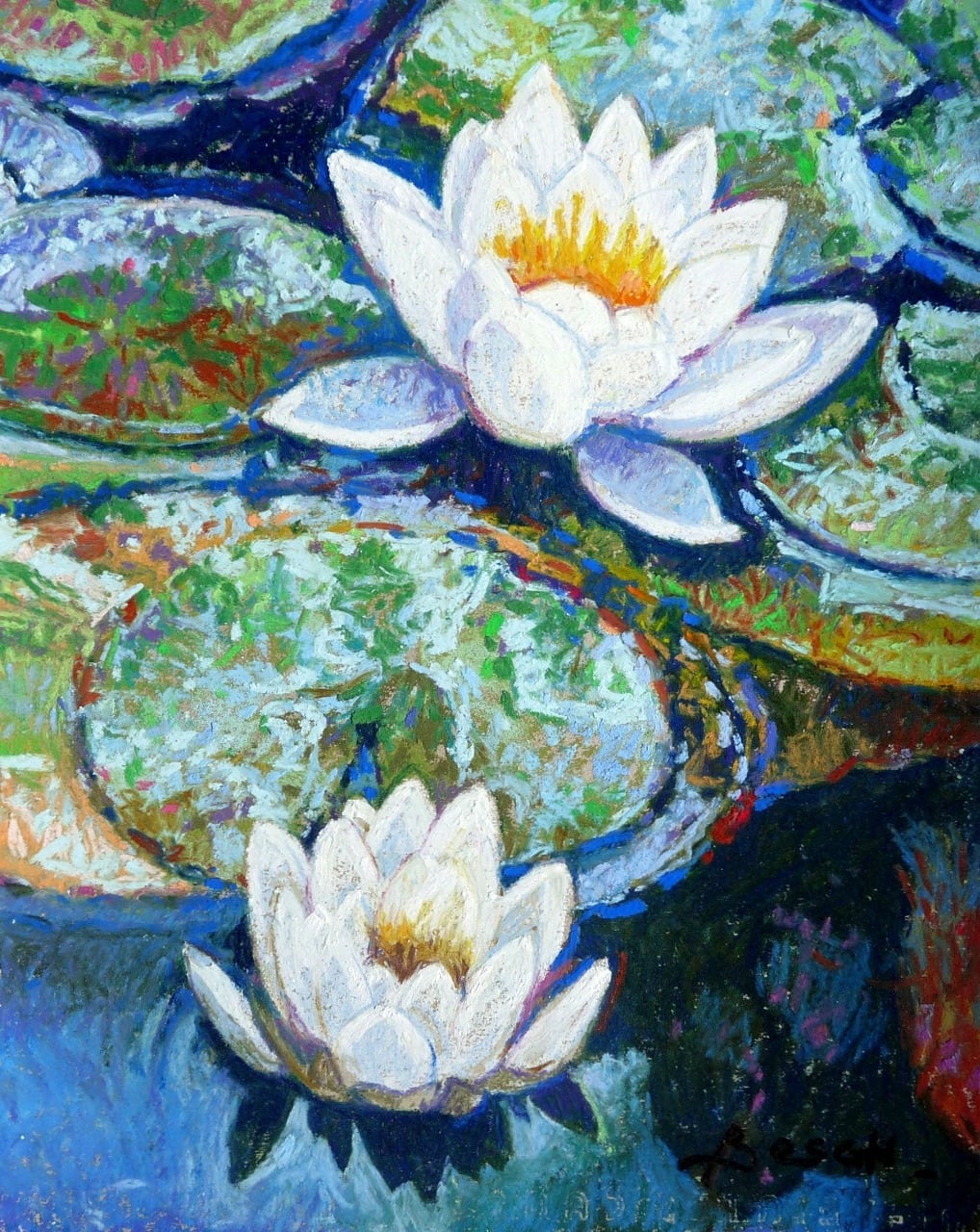 白の睡蓮 | Water lily 2 | Gallery Enatsu 江夏画廊 | ハートウォー