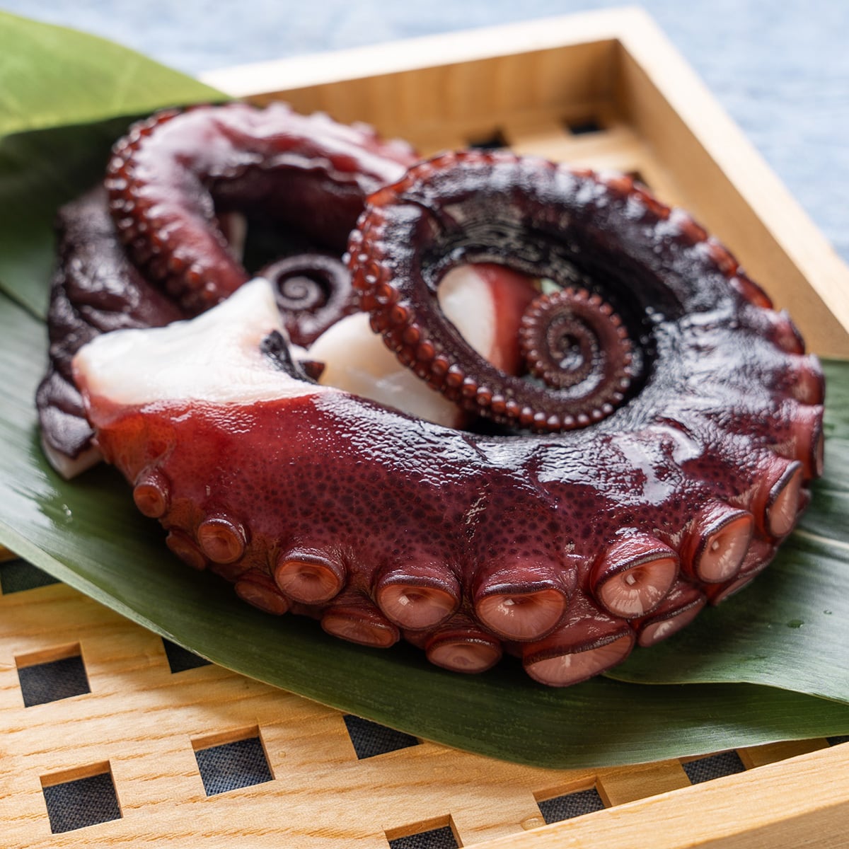 ゆでだこ 100-1341_02.jpg