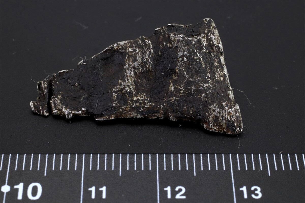 ムオニナルスタ隕石 ムオニオナルスタ隕石 置物 鉄隕石 大仏 印鑑 置物