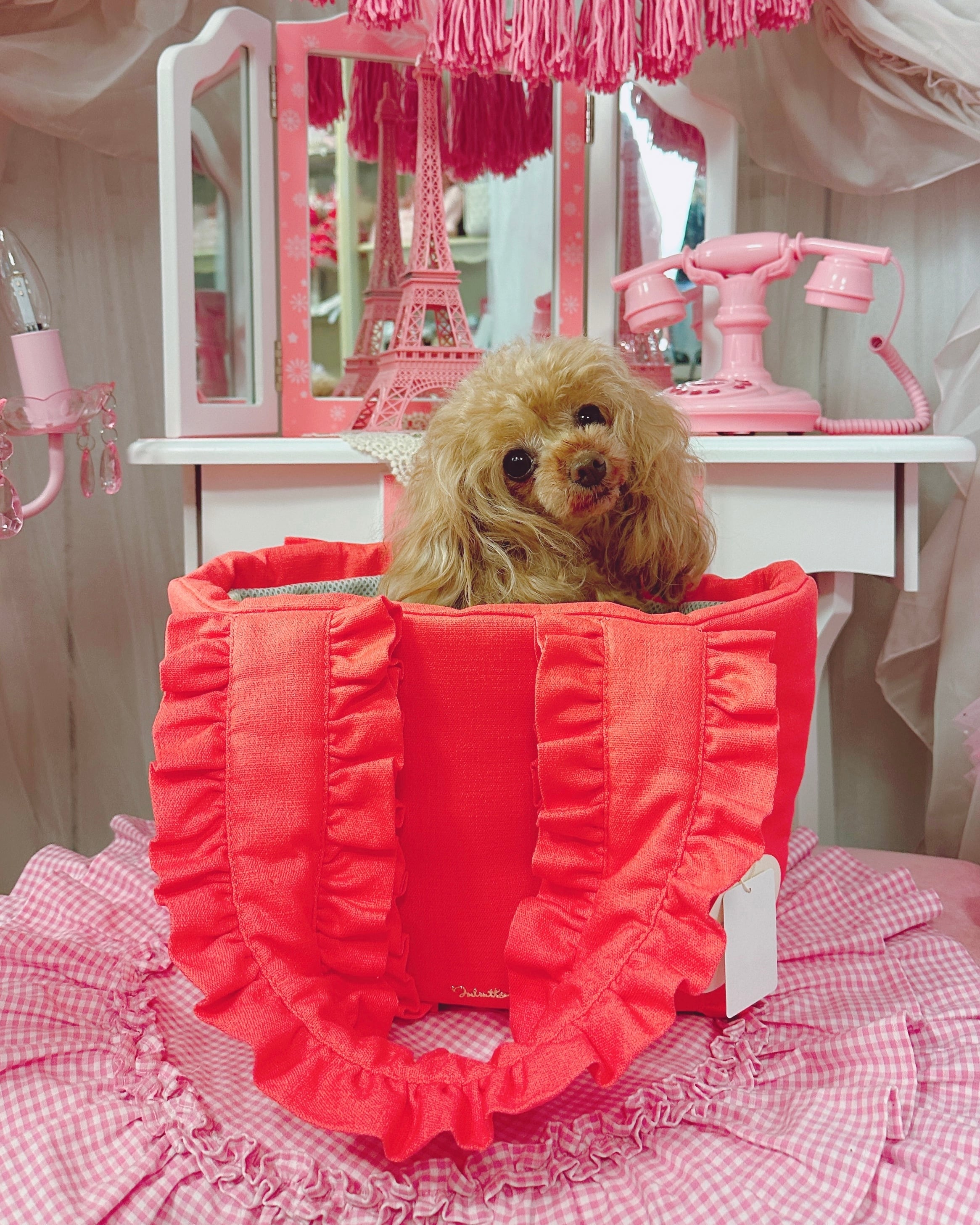 ペットアポルテ Pet 少なから a Portre キャリーバッグ