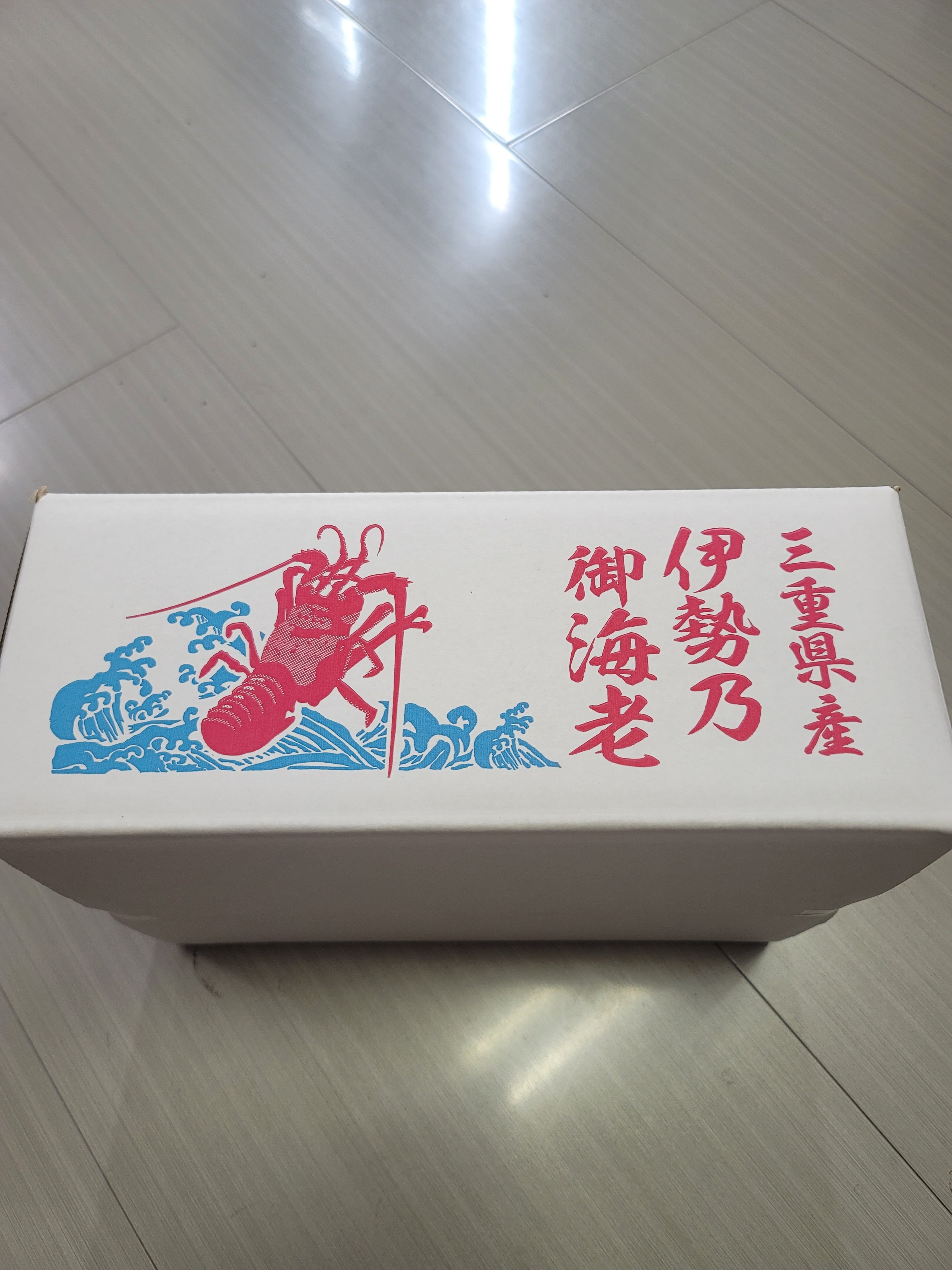 刺身OK！！三重県産伊勢海老 2尾入 ＜サイズ：約500～600グラム/尾