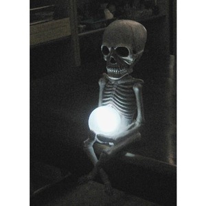 スカル　ソーラーライト(室外タイプ)　スケルトン玉ライト Solar Light skelton w/ball