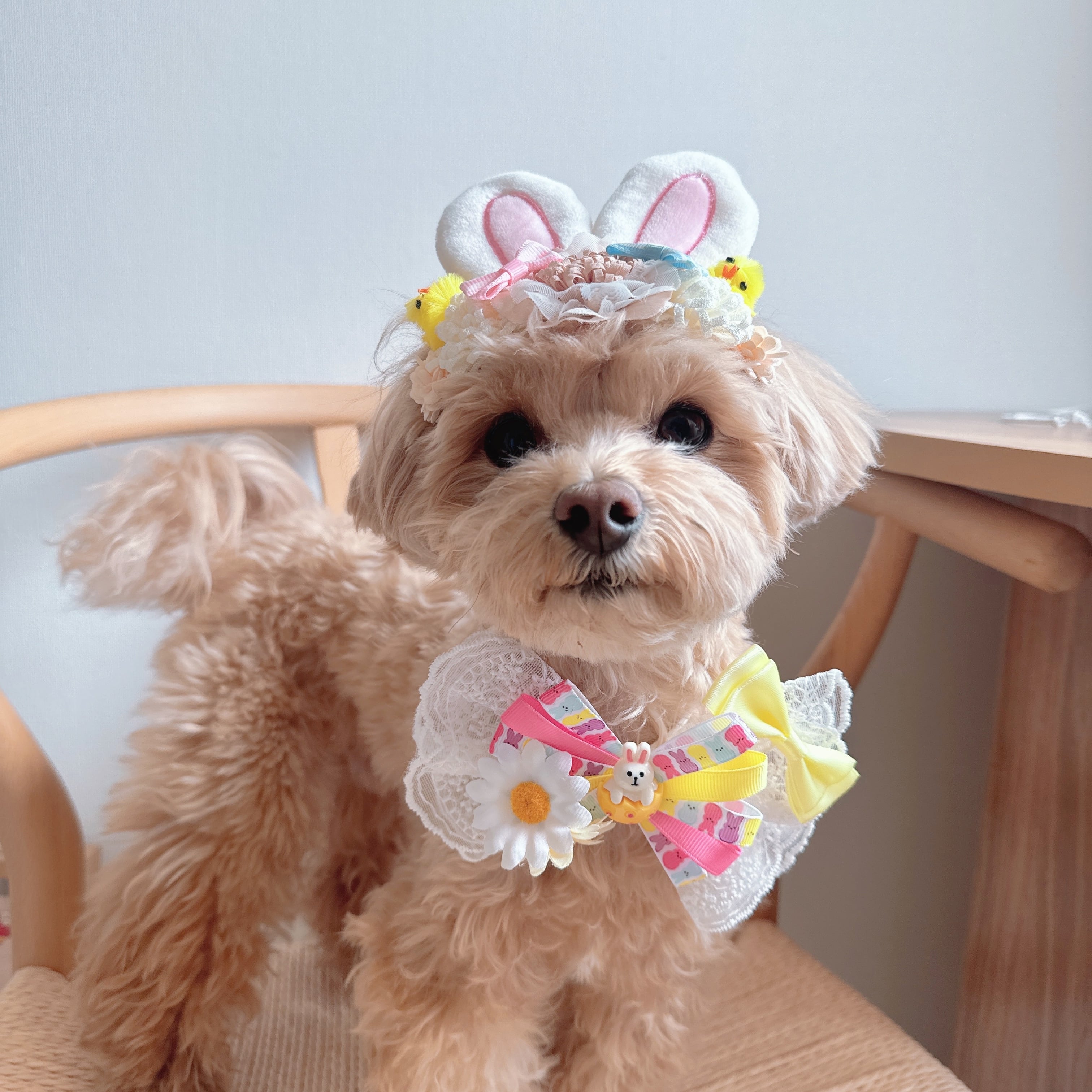 うさぴよイースターヘアバンド