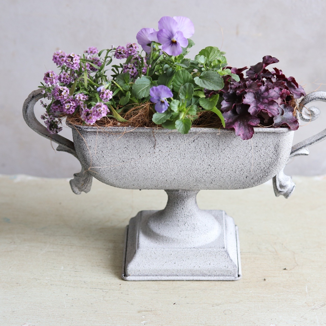 秋冬に楽しむ寄せ植え｜届いてすぐ玄関に飾れる 　ビオラふじいろももかカップ