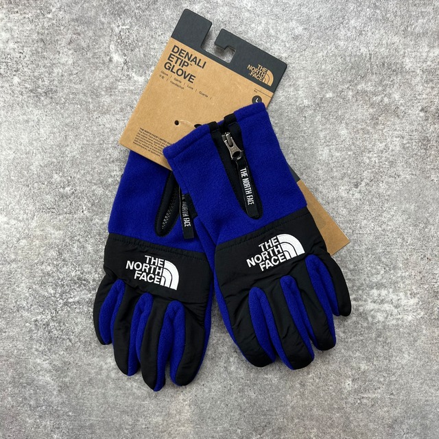 THE NORTH FACE / Denali Etip Gloves / LAPIS BLUE | TheMEME