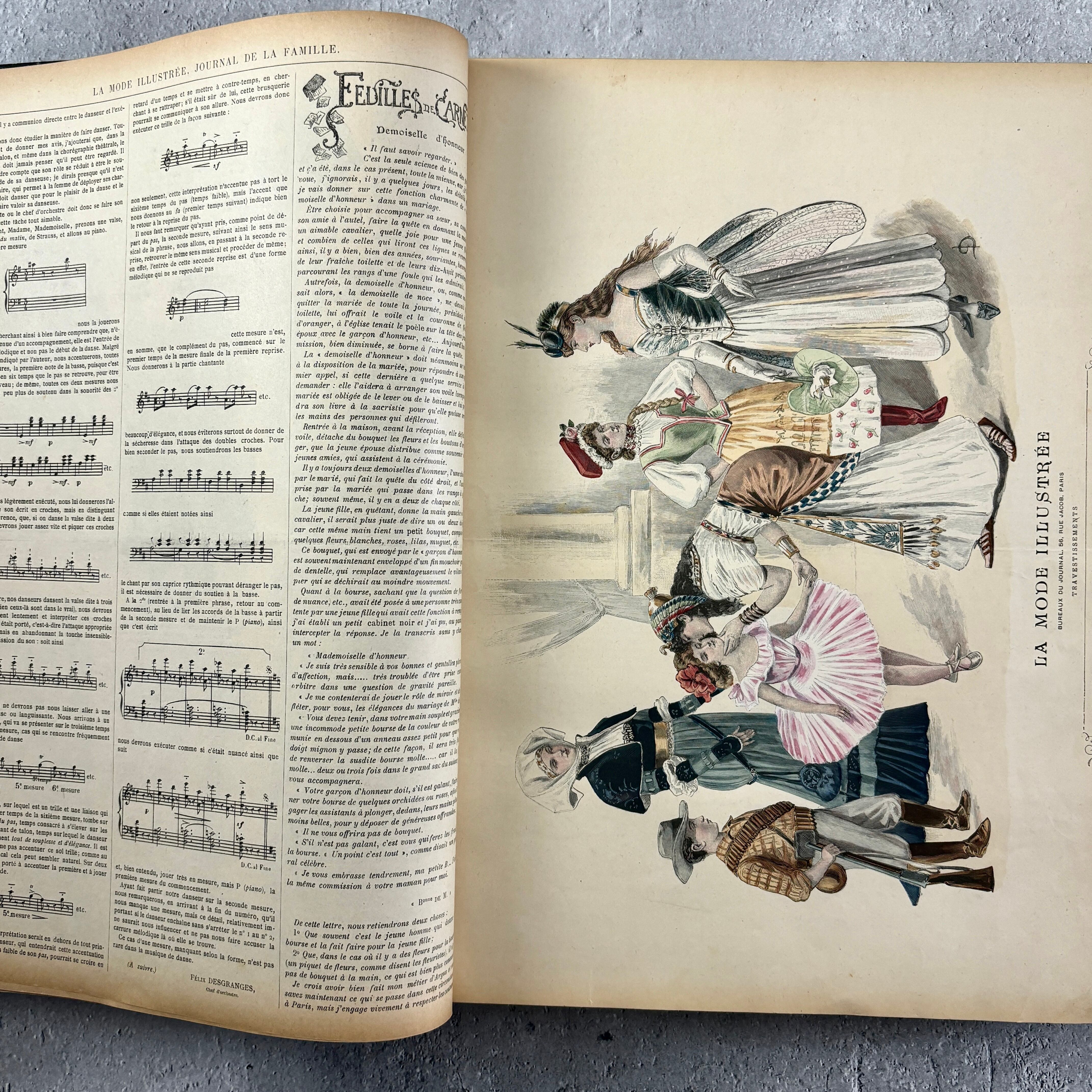 ジャンクジャーナル雑記帳 〜植物学者の手記〜 ジャンクジャーナル雑記