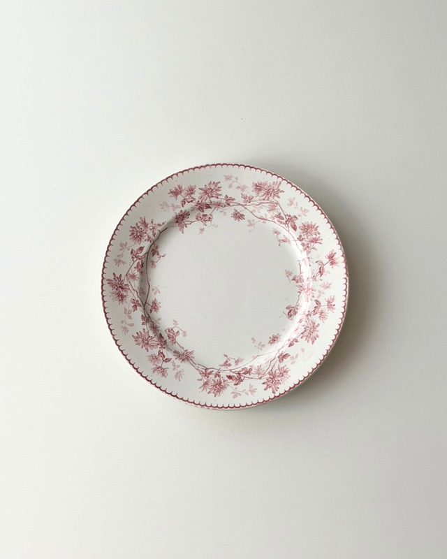 Creil et Montereau 　クレイユモントロー　/  　 “Mignardise”　愛らしいデイジーの平皿プレート　(１点のみ)