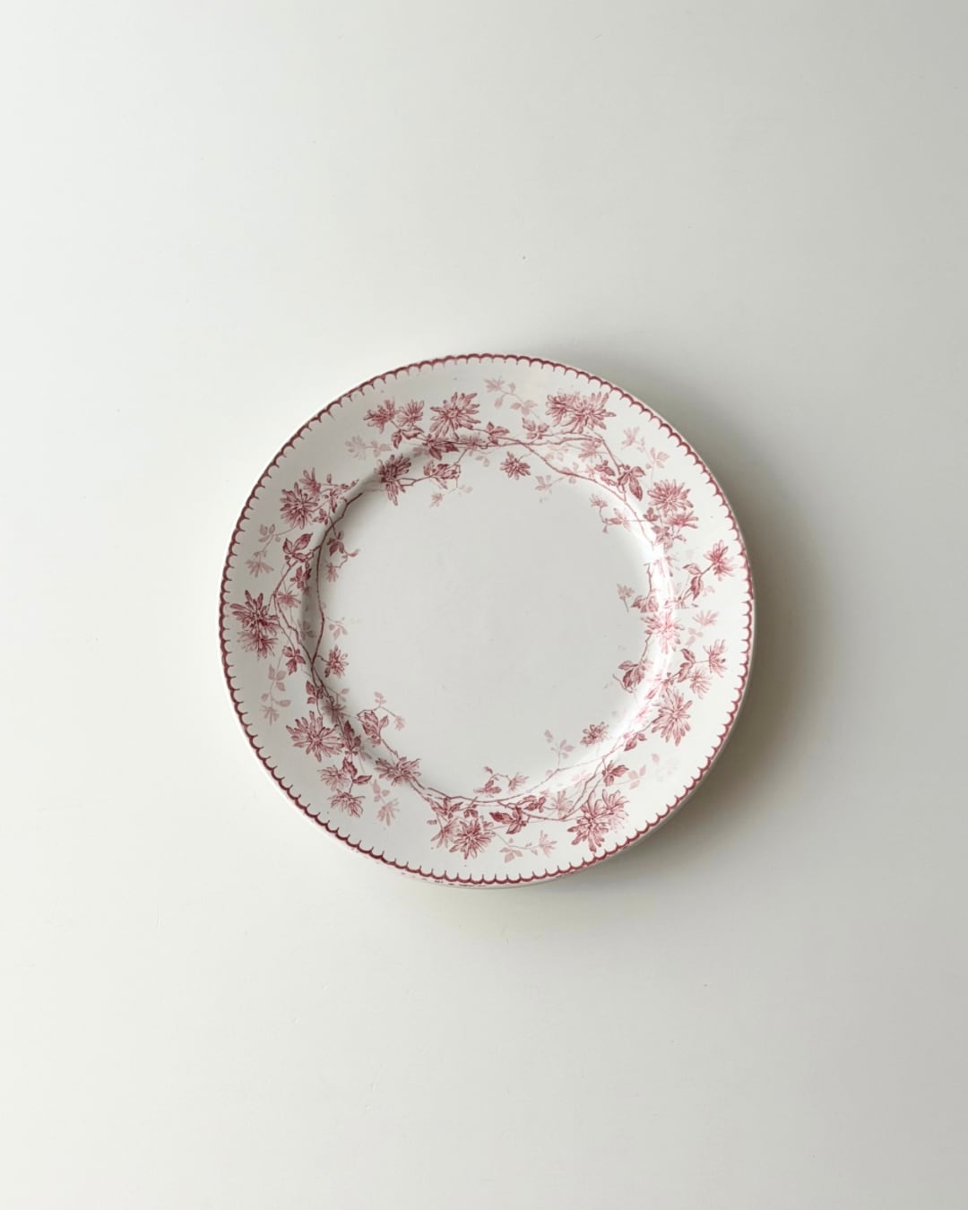 Creil et Montereau クレイユモントロー / “Mignardise” 愛らしいデイジーの平皿プレート (1点のみ)